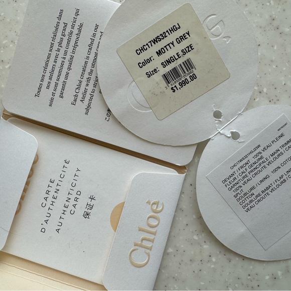 Chloe Faye Day medium crossbody bag - Picture 9 of 14